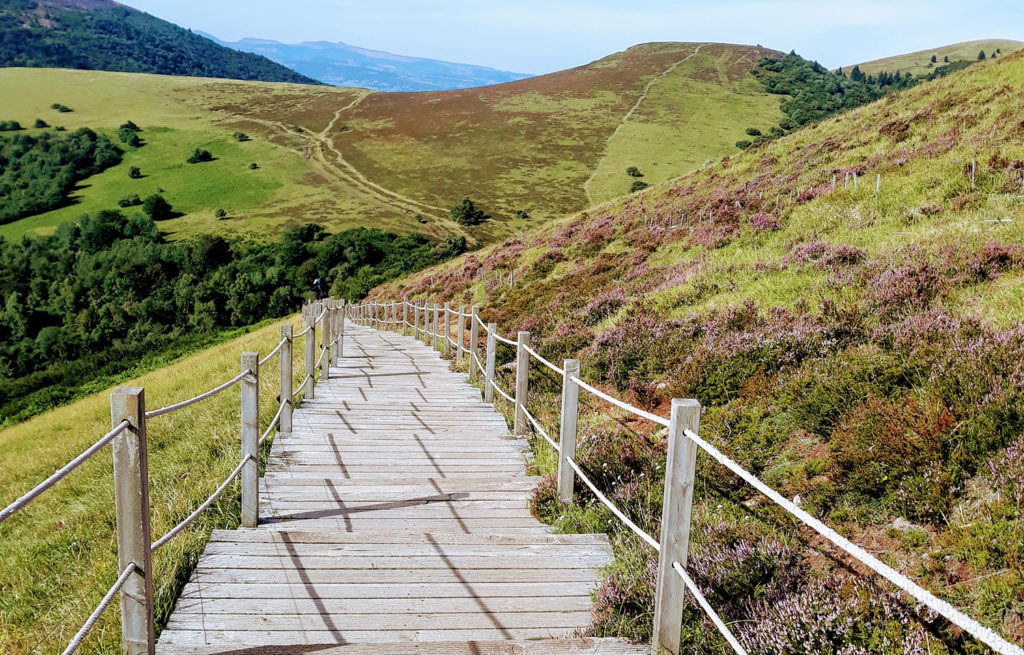 Beautiful pathway in nature